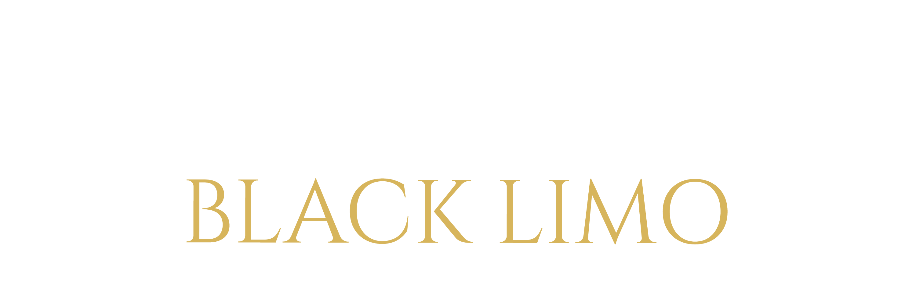 MIAMI LUX BLACK LIMO